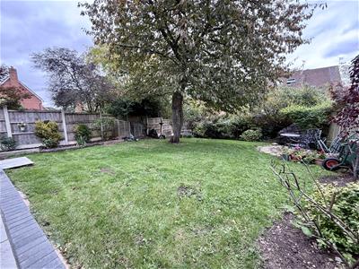 Mature Rear Garden